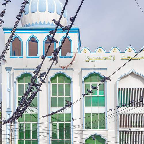 Photo #8537380