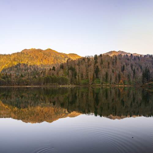 Фотография #8537657