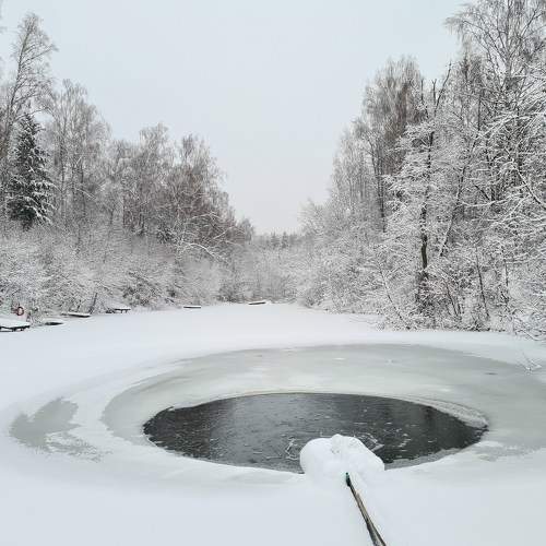 Photo #8537685