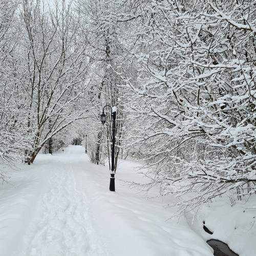 Photo #8537687