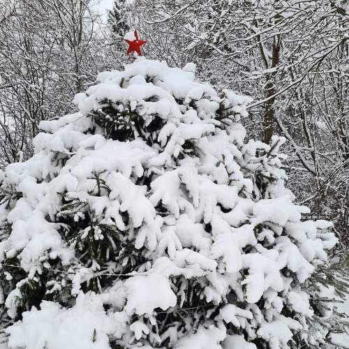 Photo #8537689