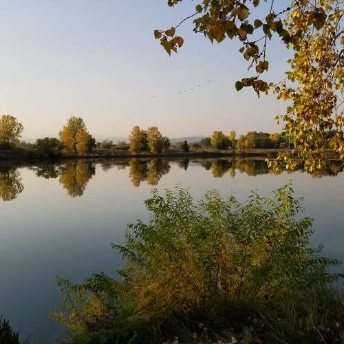 Photo #8537940