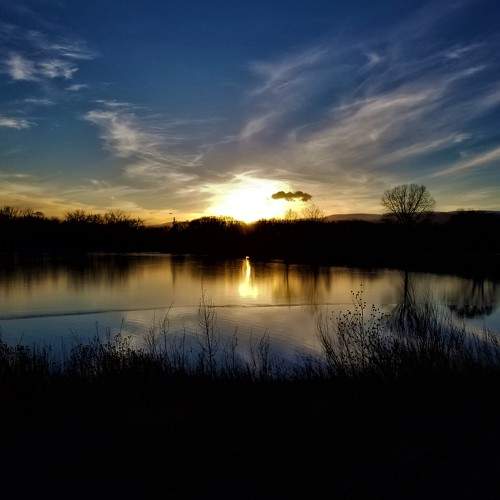 Photo #8538002