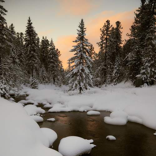 Photo #8538020