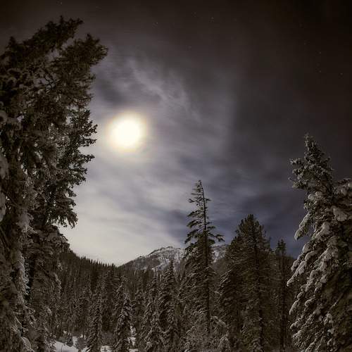 Photo #8538021