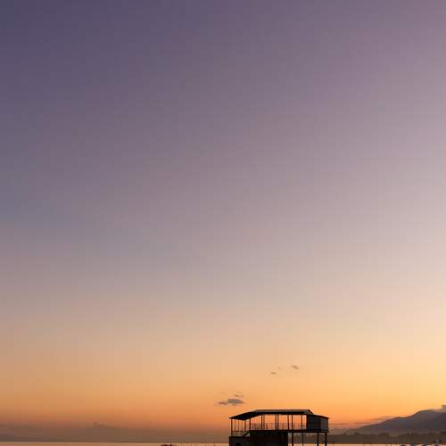 Photo #8538308