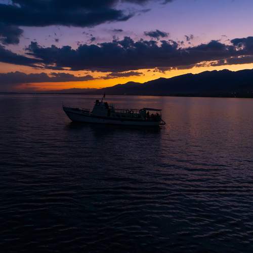 Photo #8538311