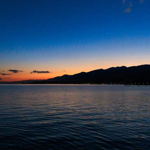 Photo #8538312
