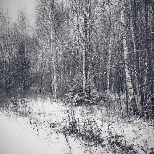 Photo #8538939
