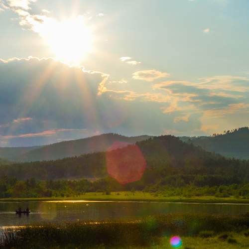 Photo #8539128
