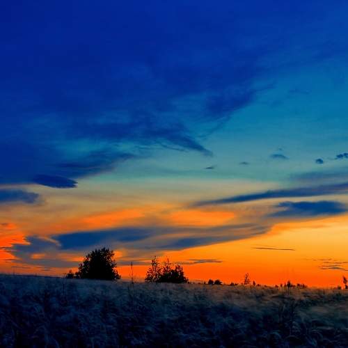 Photo #8539176