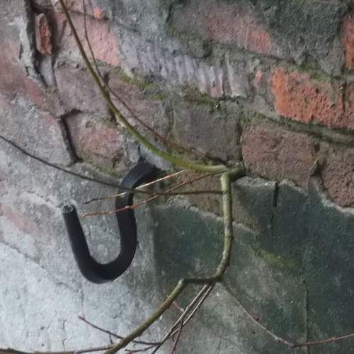 Photo #8539993