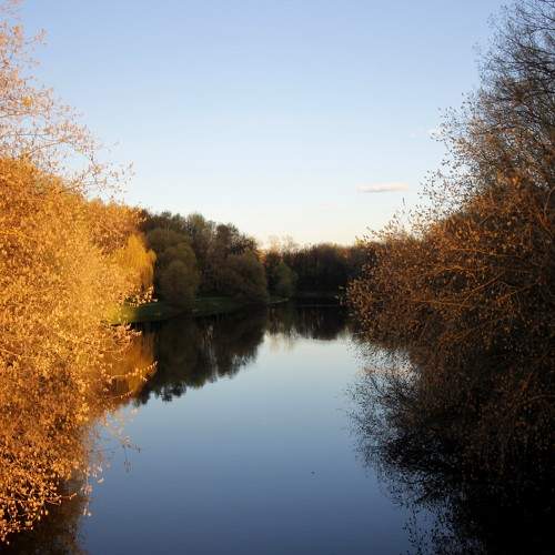 Photo #8540155