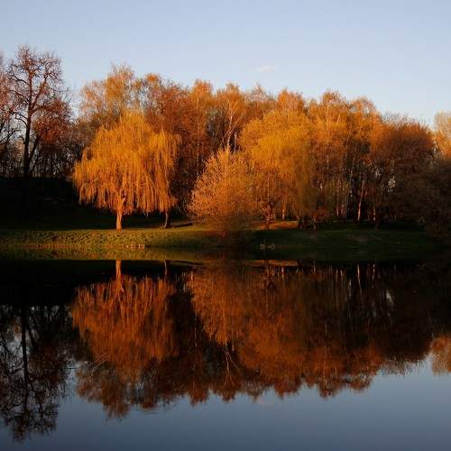 Photo #8540156