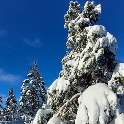 Photo #8540195