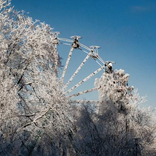 Photo #8540520