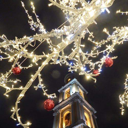 Photo #8541015