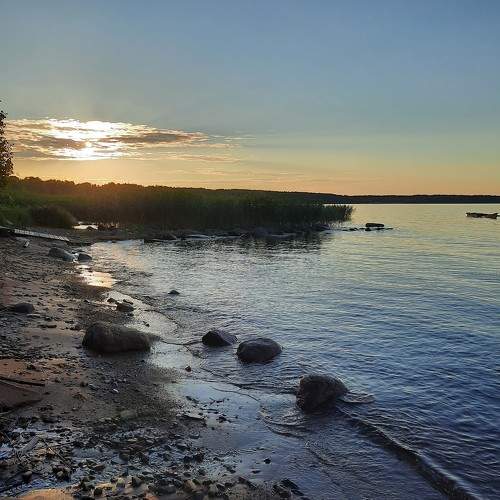Photo #8541134
