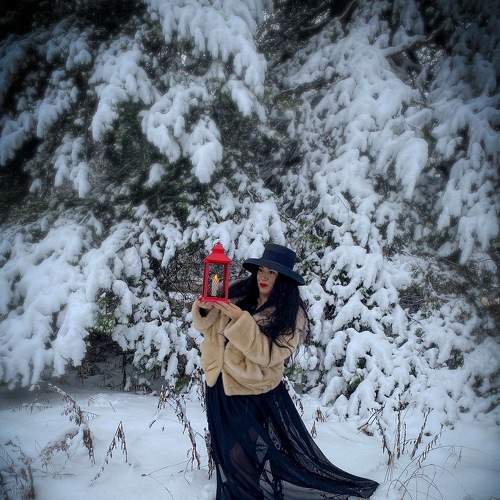 Photo #8541304