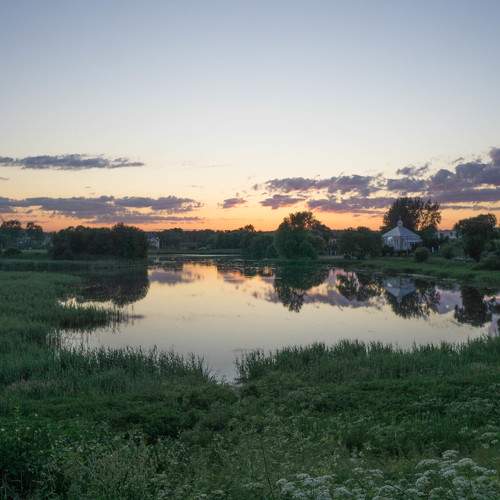 Photo #8541322