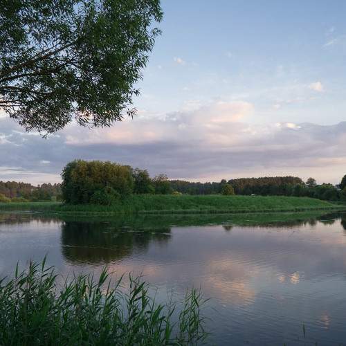 Photo #8541323