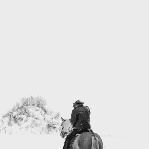 Фотография #8541345