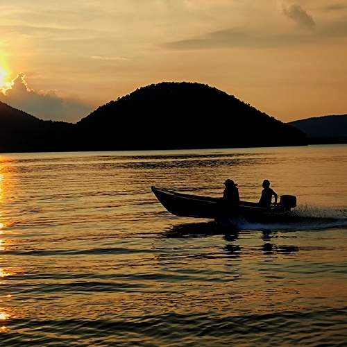 Photo #8541354