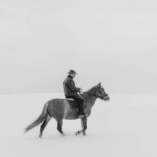 Фотография #8541390