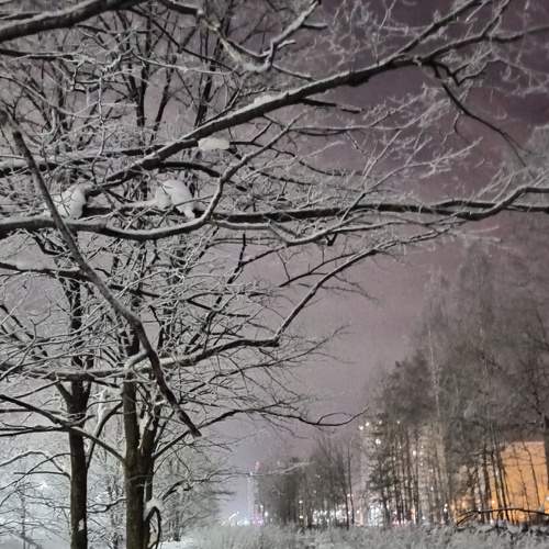 Photo #8541423