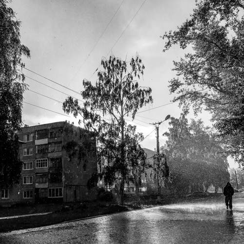 Photo #8541425