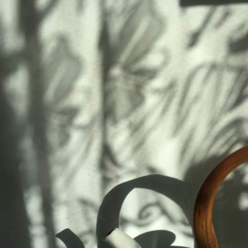 Photo #8542006