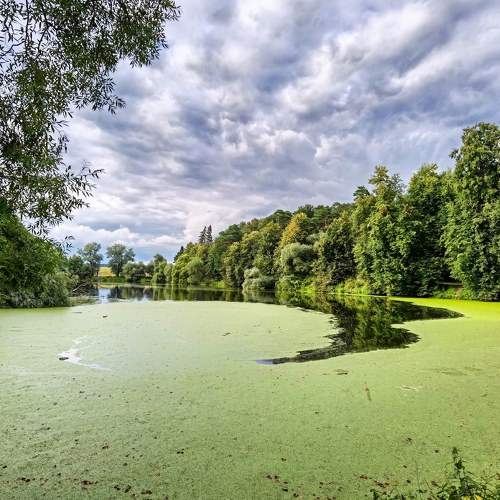 Photo #8542439