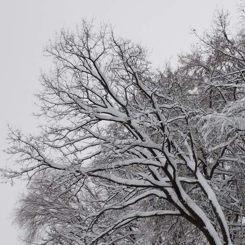 Photo #8542511