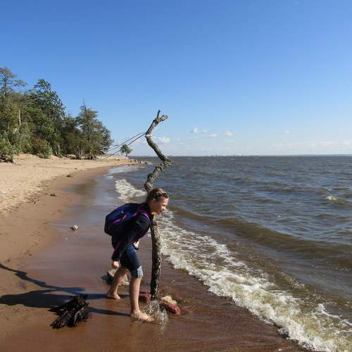 Photo #8542841