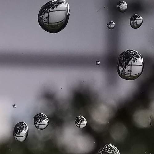 Photo #8542909