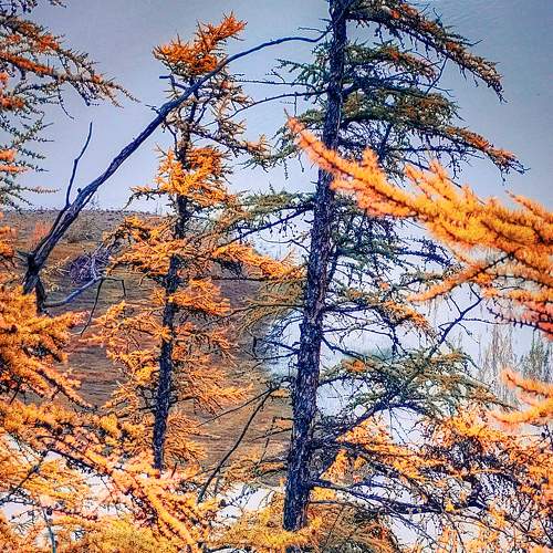 Photo #8543247