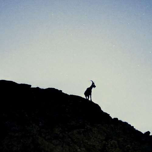 Photo #8543334