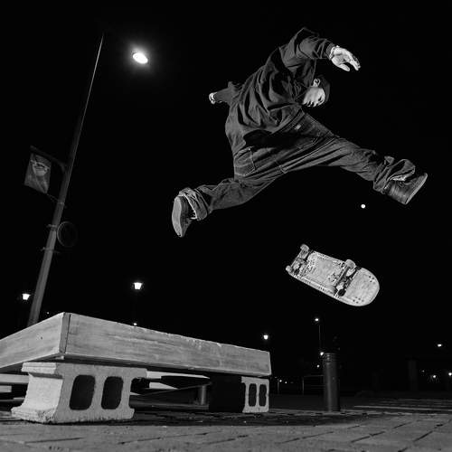 Photo #8544081