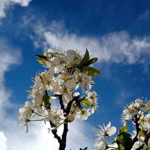 Photo #8544278