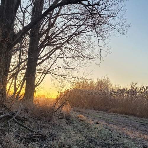 Photo #8544360