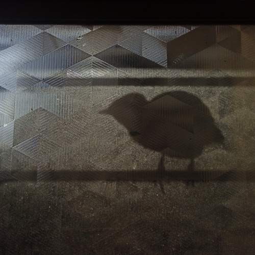 Photo #8544406