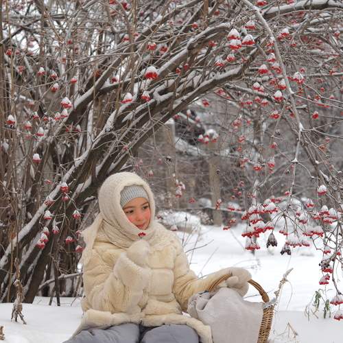 Photo #8544610