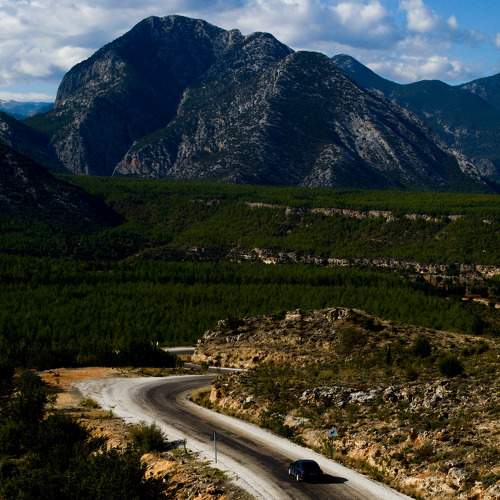 Photo #8544928