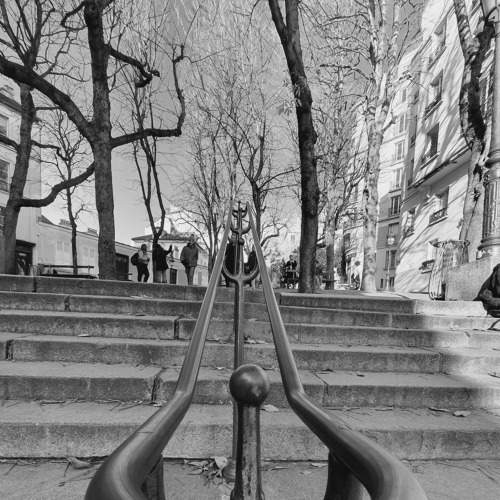 Photo #8545615