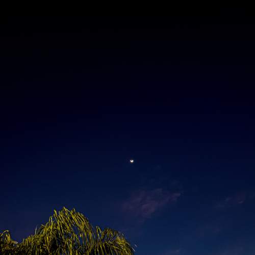 Photo #8545758