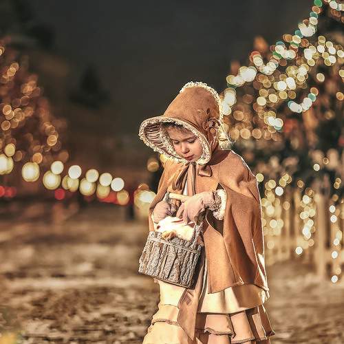 Photo #8545848