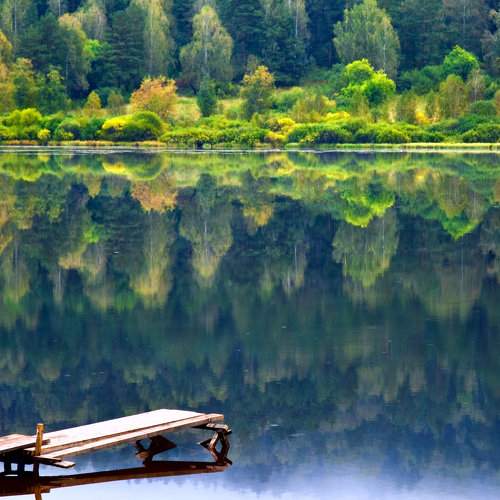 Photo #8545978