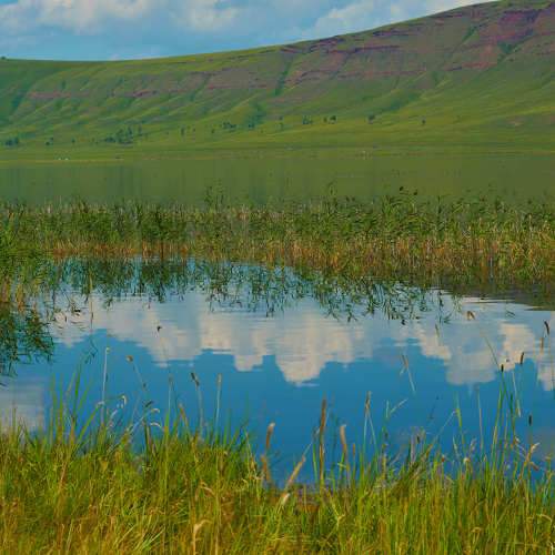 Photo #8546011