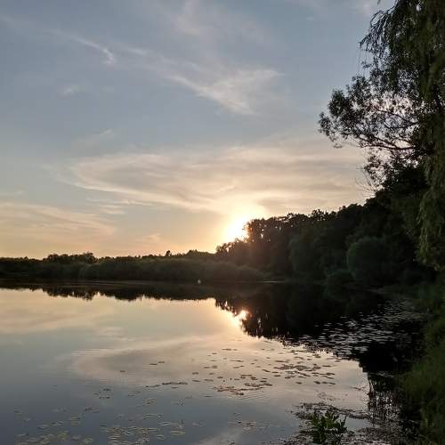 Photo #8546021