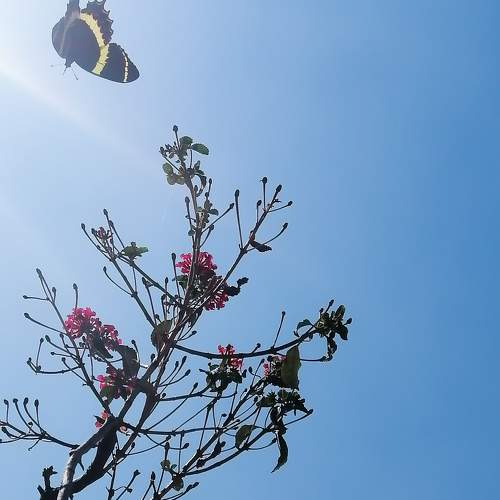 Photo #8546132